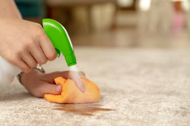Learn proven techniques for removing common and tough stains from any surface.