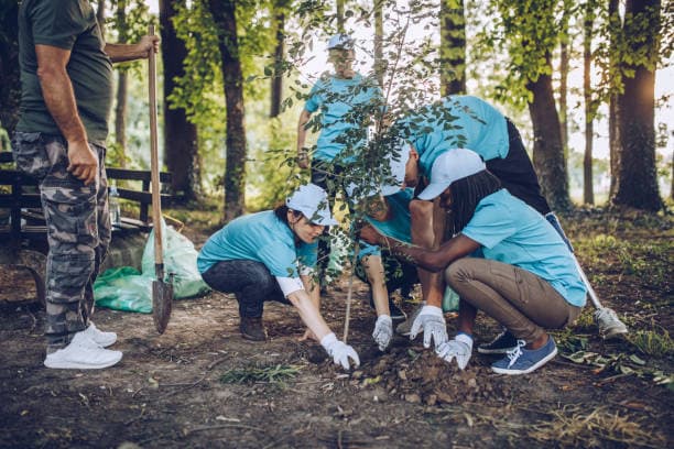 Find out how making the switch to green cleaning can make a lasting difference for the Earth and your well-being