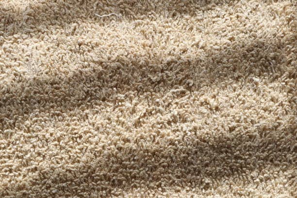 Master the art of carpet cleaning and restoration to retain your floor's prestige.