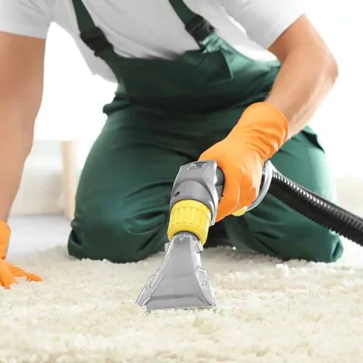 Specialty Carpet Cleaning Services That You Can Trust